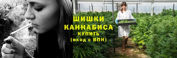 молекула духа Заводоуковск