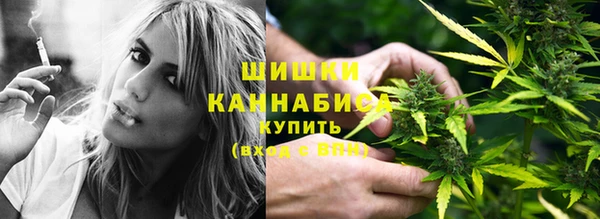 молекула духа Заводоуковск
