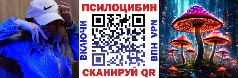 Купить где Новоржев Псилоцибиновые грибы ЛСД