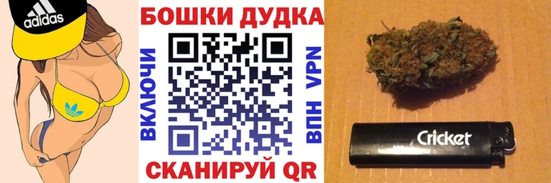 Купить  Новоржев  МАРИХУАНА марихуана 